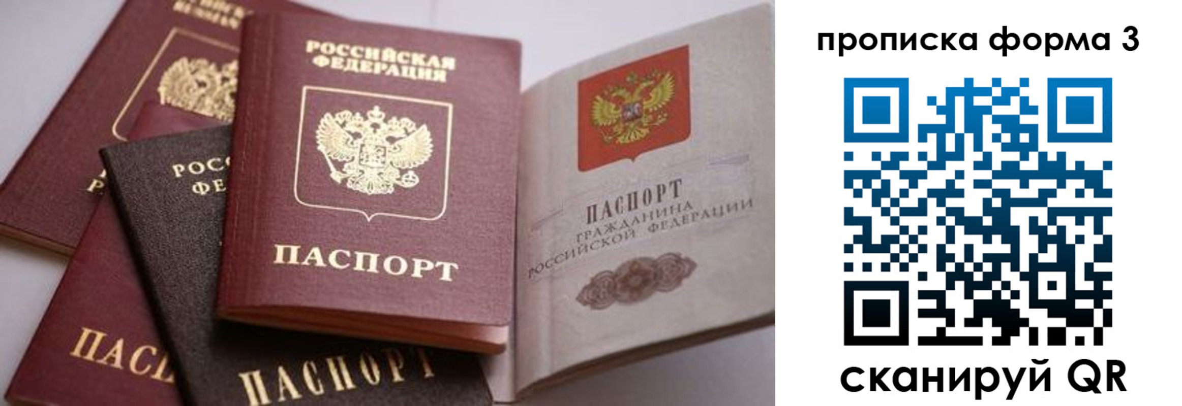прописка для школы в Крымске